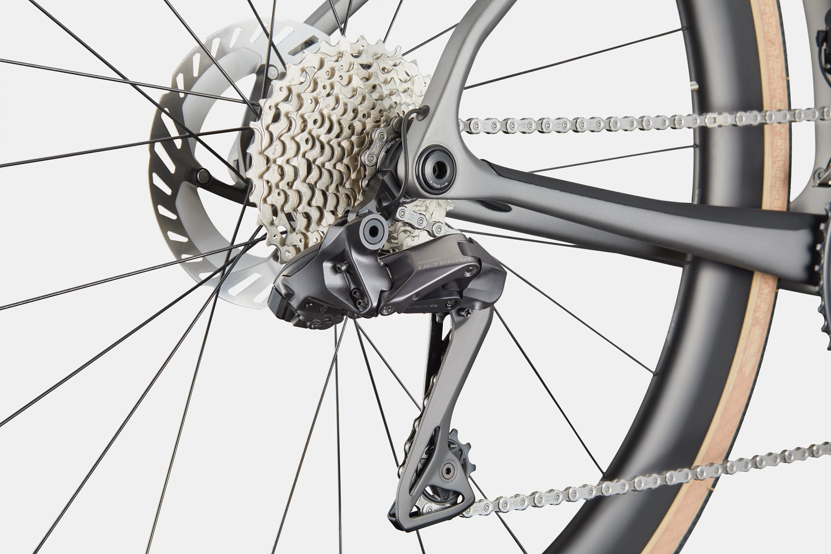 C25_C12205U_Synapse_Crb_2_GRY_D2